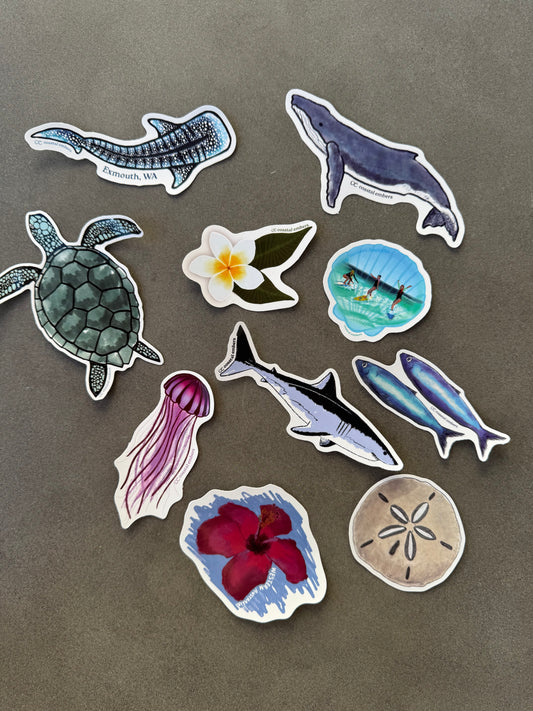 Manta Ray and Baby Sticker