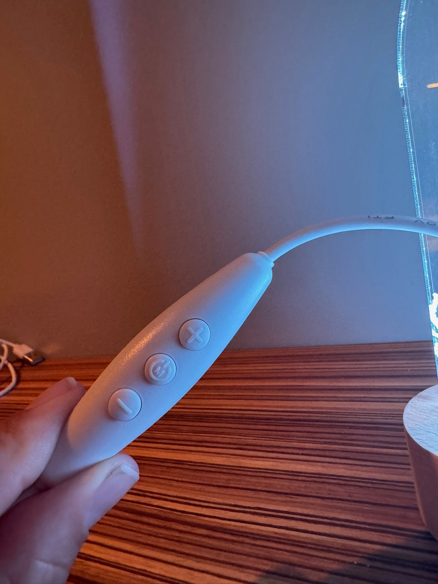 Turtle LED Lamp