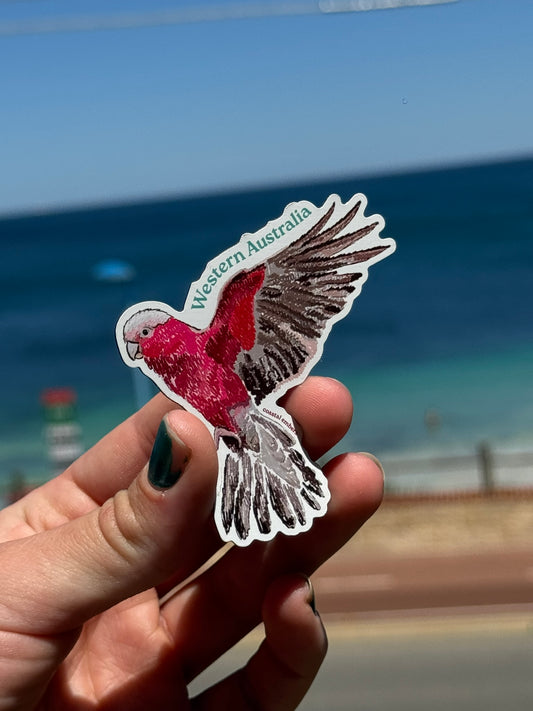 Pink and Grey Galah Magnet