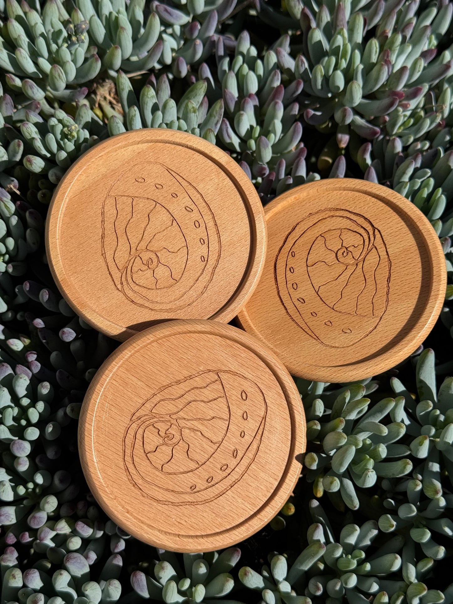 CLEARANCE Abalone Round Wooden Engraved Coasters