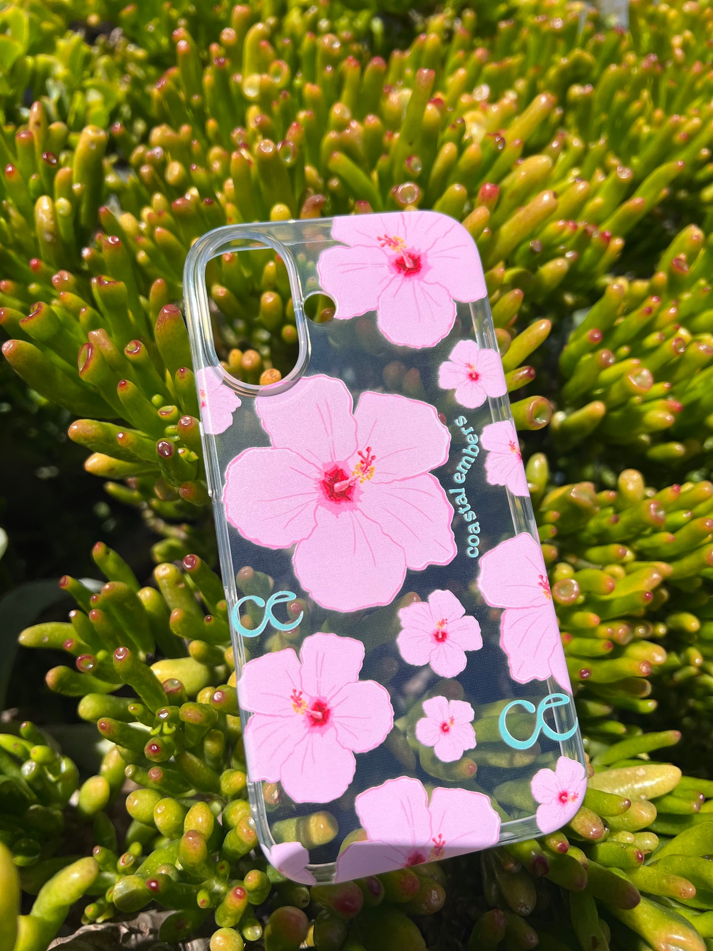 Clear Coastal Phone Case