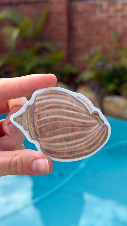 Shell Sticker