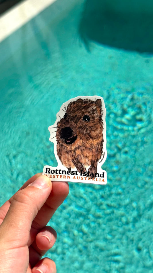 Quokka Sticker
