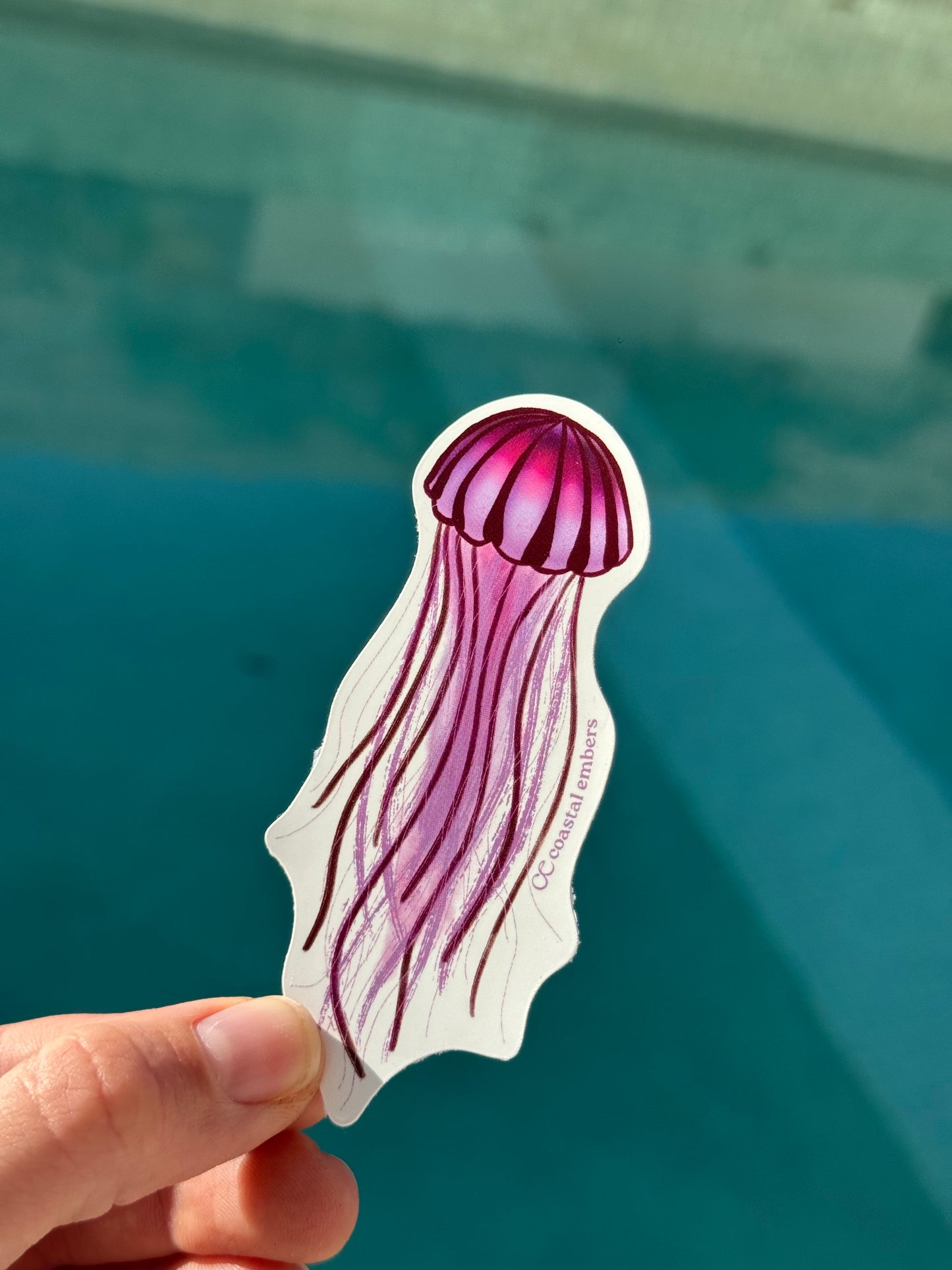 Jellyfish Sticker