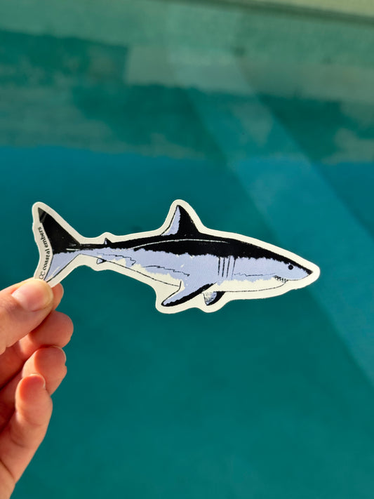 Shark Sticker