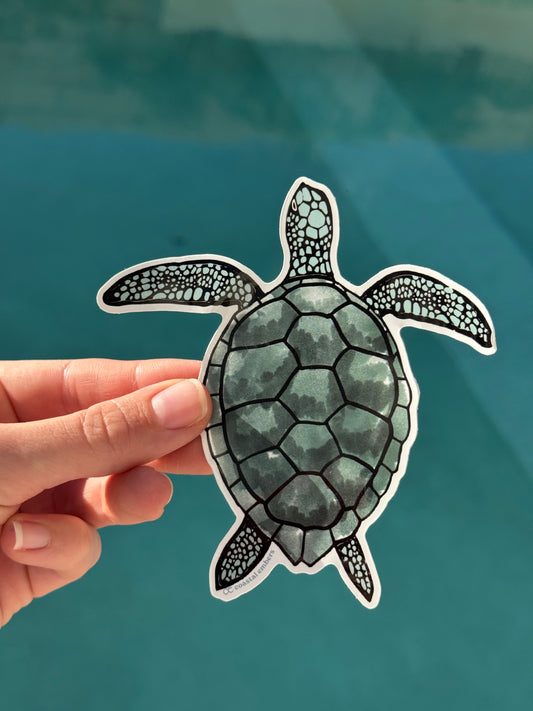 Turtle Sticker