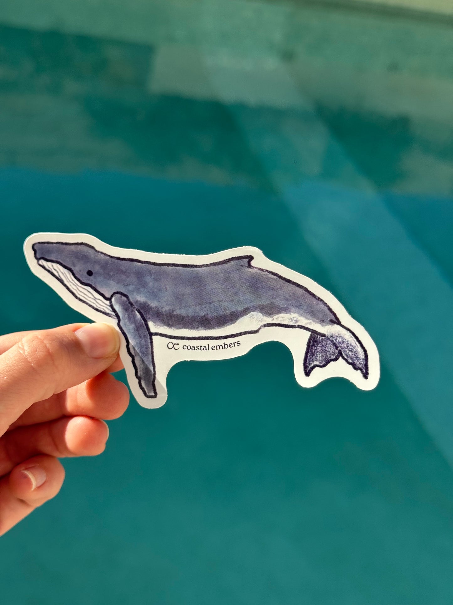 Whale Sticker
