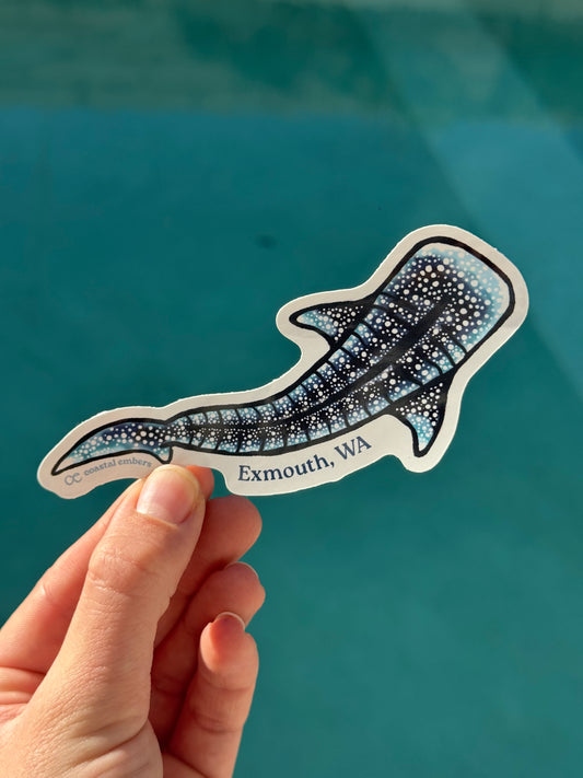 Whale Shark Exmouth Sticker