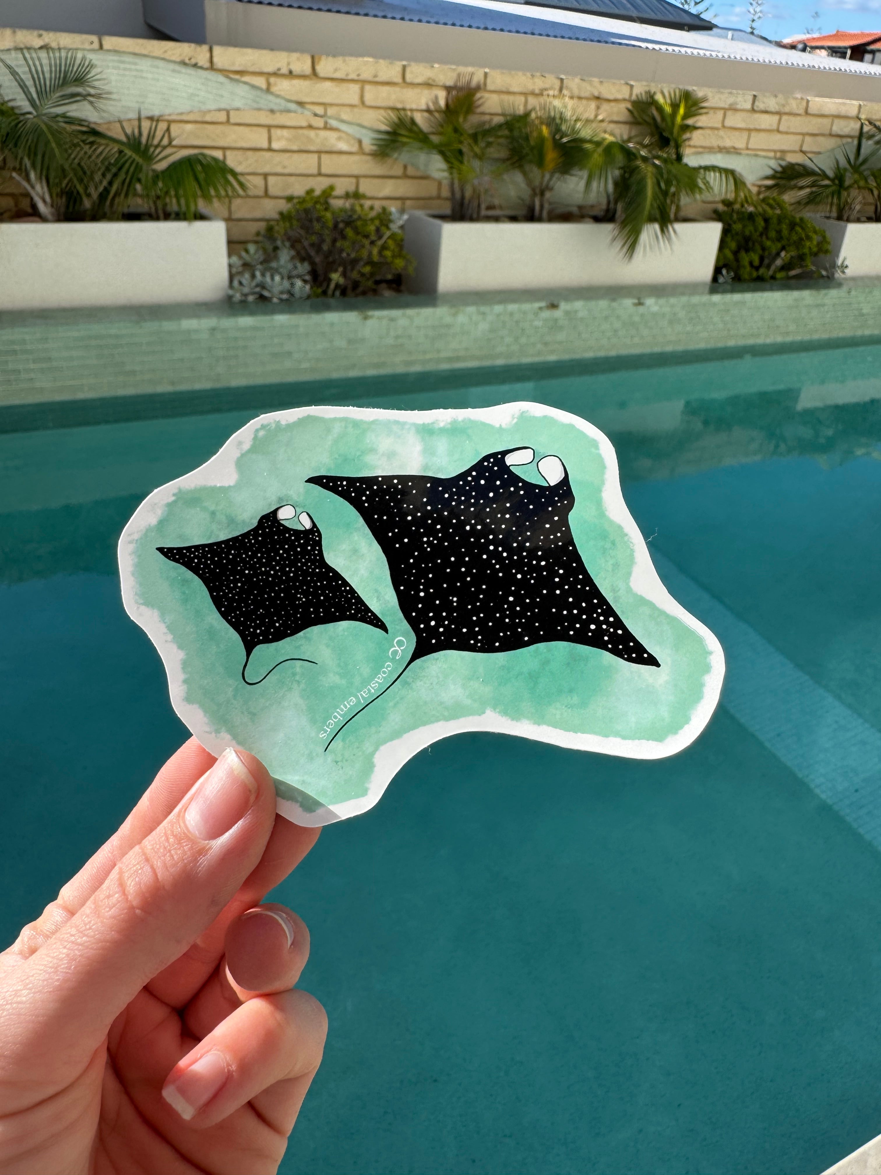 Manta Ray and Baby Sticker – Coastal Embers