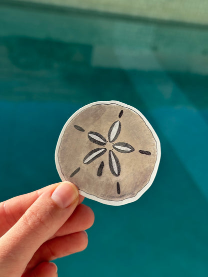 Sand Dollar Sticker