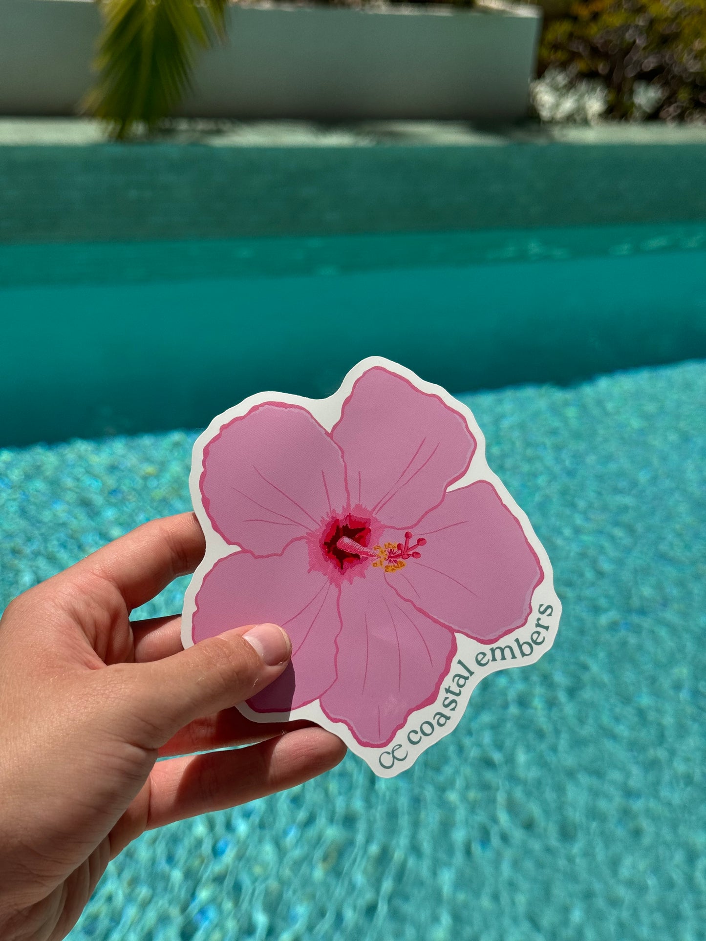 Hibiscus Sticker