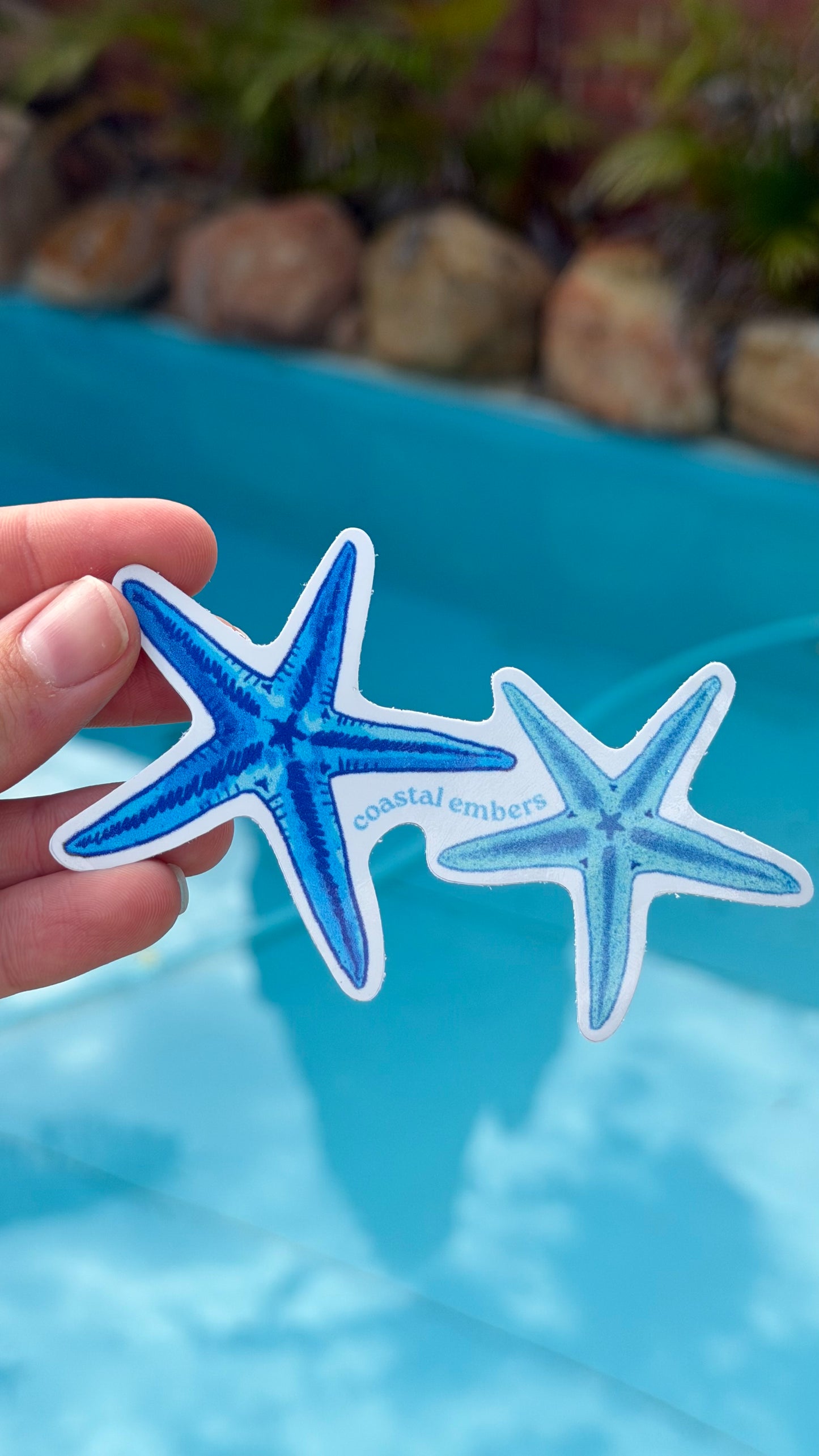 Starfish Sticker