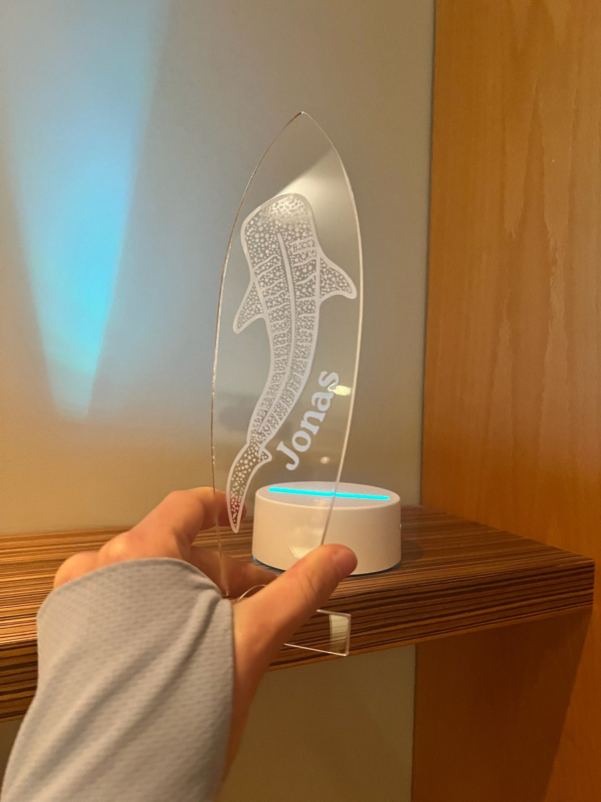 CUSTOM Whale Shark LED Lamp