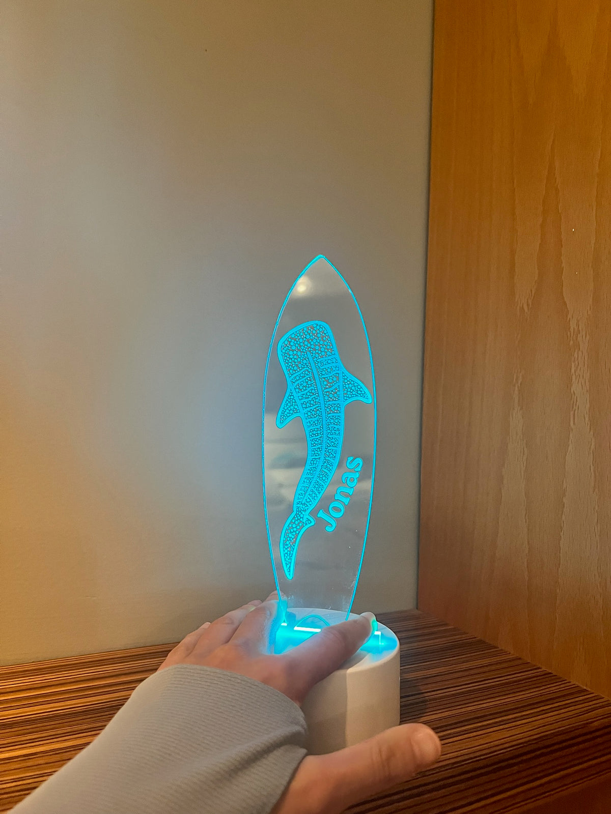CUSTOM Whale Shark LED Lamp