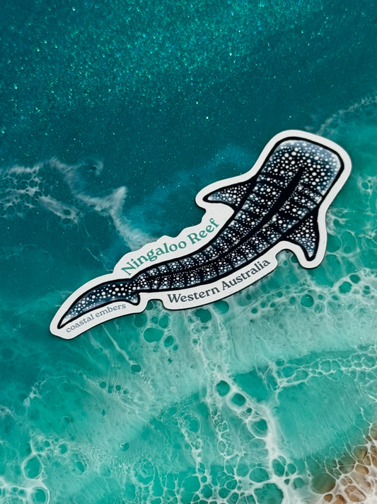 Whale Shark Magnet