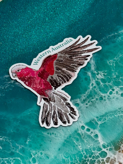 Pink and Grey Galah Magnet