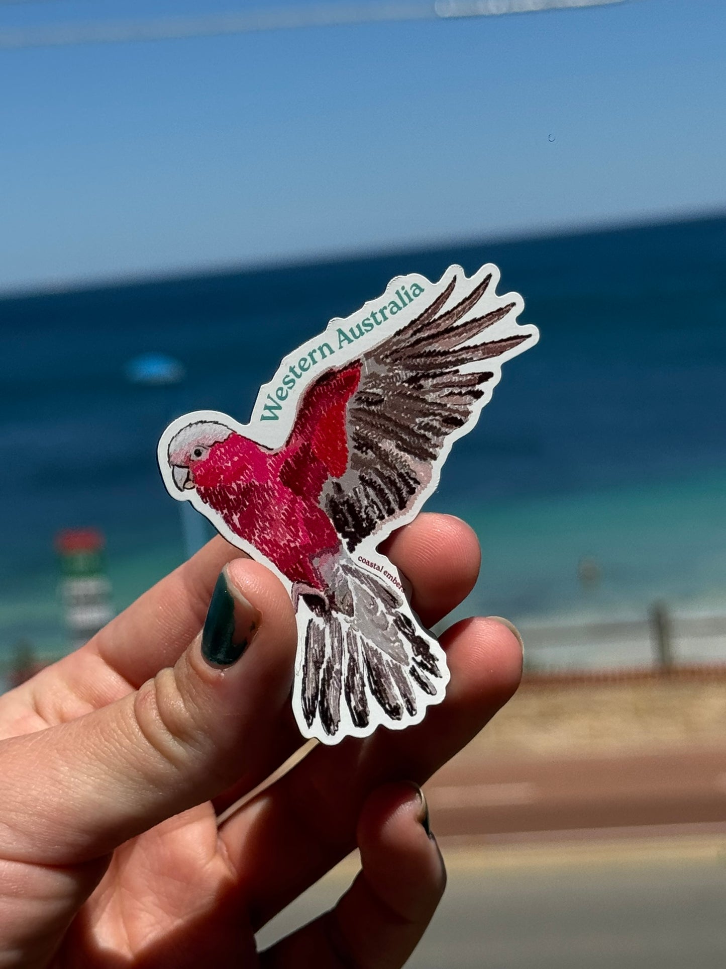 Pink and Grey Galah Magnet