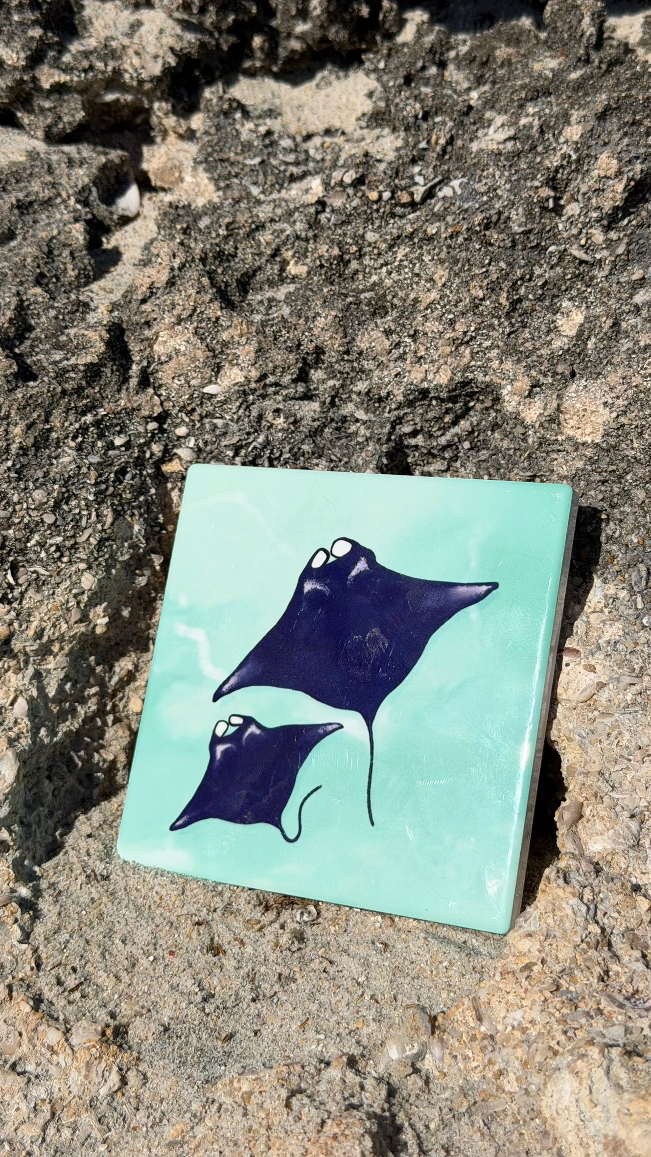 Ocean Coasters