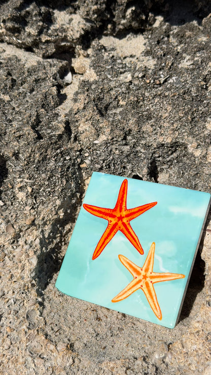 Ocean Coasters