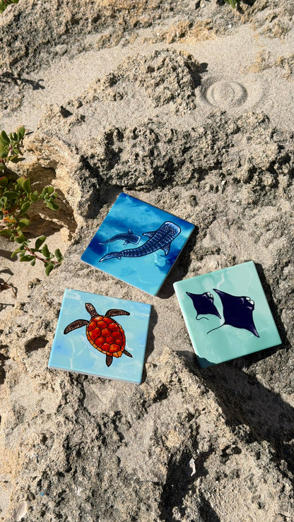 Ocean Coasters