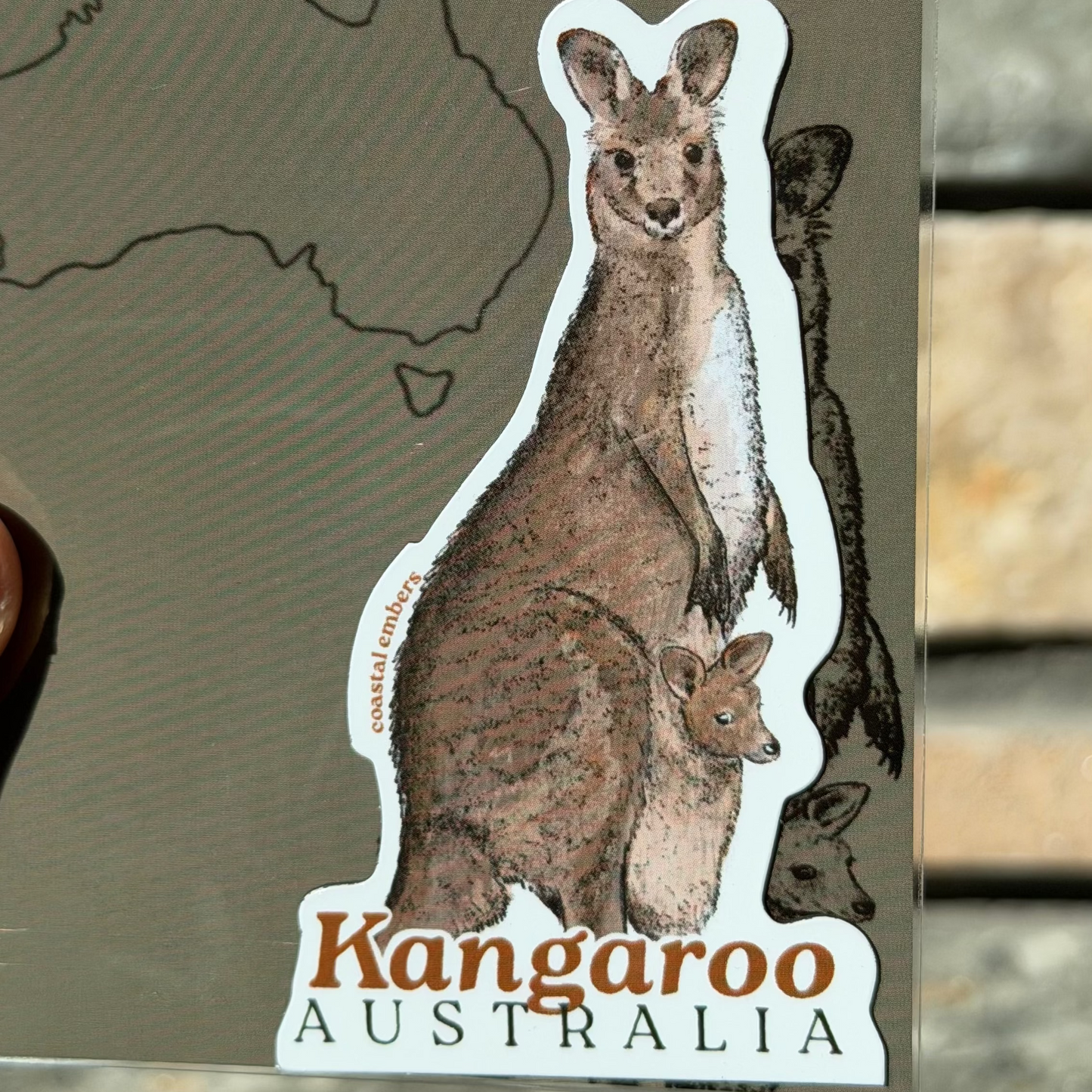Kangaroo Magnet