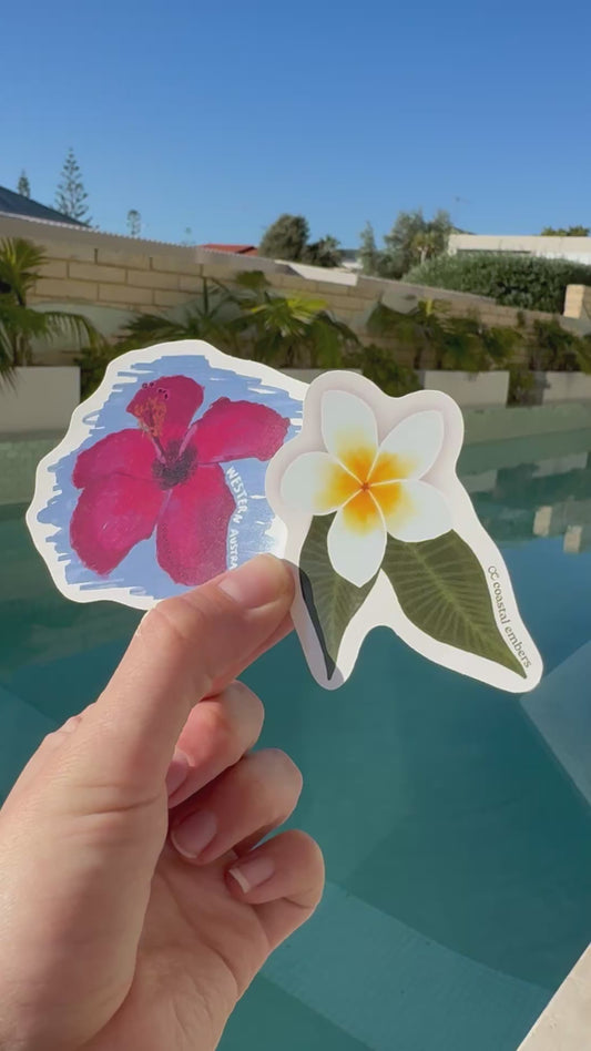 Hibiscus Sketch Sticker